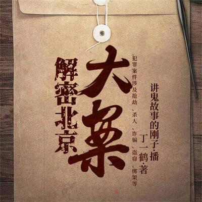 北京大案 - 丁一鹤, Audio, 4099995943870
