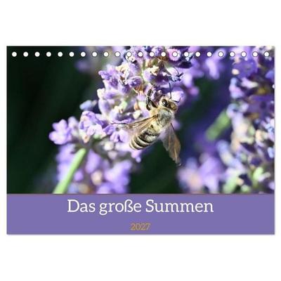 Das große Summen (Tischkalender 2027 DIN A5 quer), CALVENDO Monatskalender