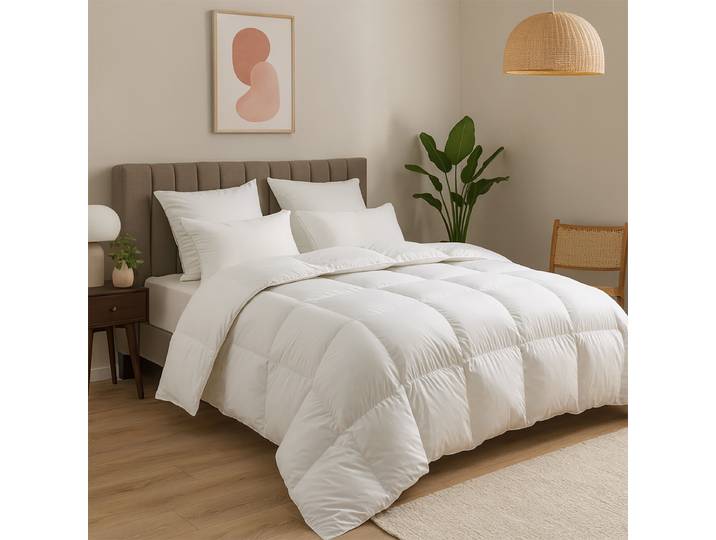 Pack Couette Tempérée Et Oreiller Essentiel Medium - 240/260 - Dunlopillo