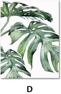 Inspire Select Nordic Botanical Canvas Wall Art Monstera, Fern & Banana Leaf Prints For Living Room & Bedroom Decor d 19.69 27.56 In No Frame