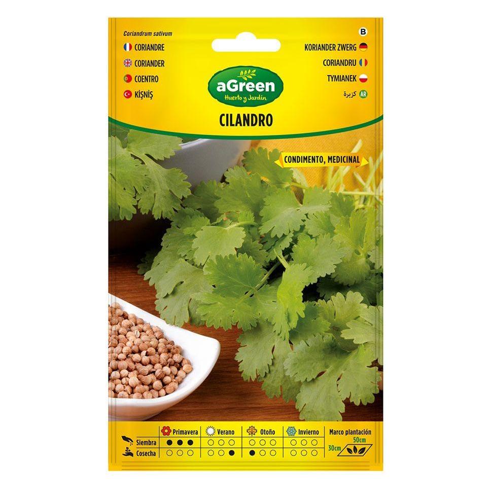 Agreen About coriander seeds corianrum sativum 301015bolsh (Gemüsesamen) (49339312)