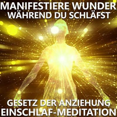 Manifestiere Wunder, während du schläfst - Raphael Kempermann, Audio, 4061707739514