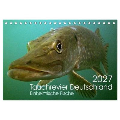Tauchrevier Deutschland (Tischkalender 2027 DIN A5 quer), CALVENDO Monatskalender