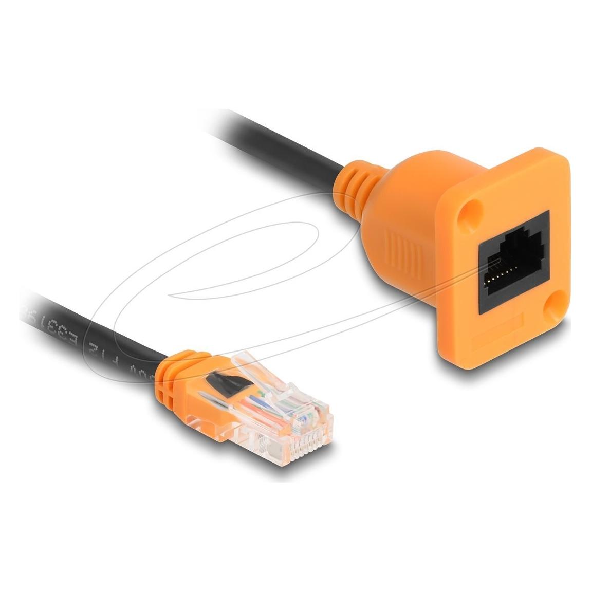 Delock D-Typ RJ45 Kabel Stecker zu Buchse Cat.5e UTP orange (UTP, CAT5e, 0.30 m) (90803)
