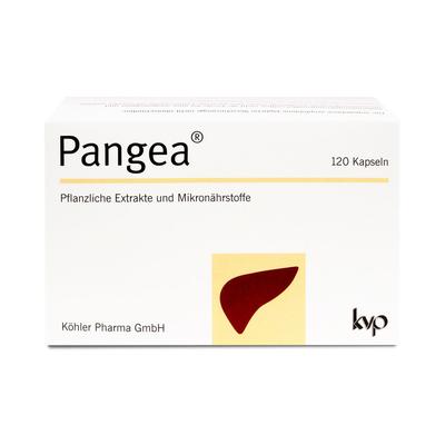 Pangea Kapseln 120 St