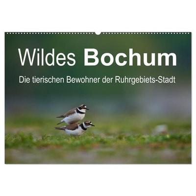 Wildes Bochum (Wandkalender 2027 DIN A2 quer), CALVENDO Monatskalender