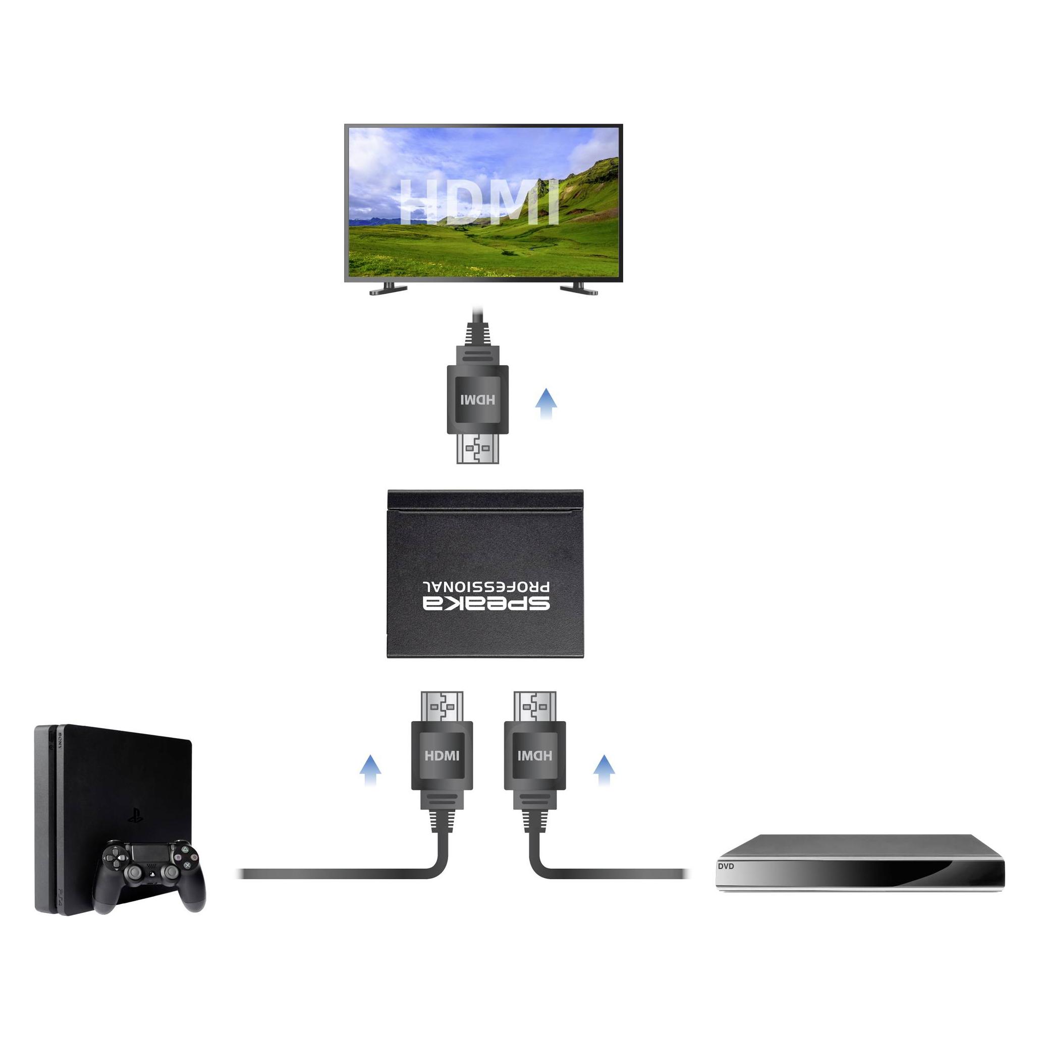 SpeaKa Professional SP-1676616 (SP-1676616)