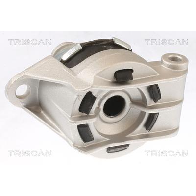 TRISCAN Lagerung, Motor 8505 24117 für Opel Vaughall