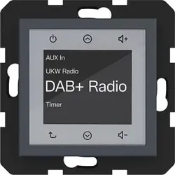 Hager WAN6011AT Radio Touch UP DAB+, A.x/C.x, anthrazit matt, lackiert