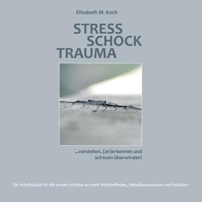 Stress Schock Trauma ... verstehen, (an)erkennen und achtsam überwinden, Taschenbuch von Elisabeth M. Koch, BoD – Books on Demand, 978-3-7431-8092-5