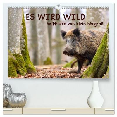 ES WIRD WILD Wildtiere von klein bis groß (hochwertiger Premium Wandkalender 2026 DIN A2 quer), Kunstdruck in Hochglanz