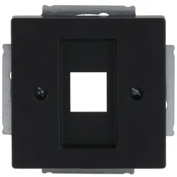 Busch-Jaeger Zentralscheibe schwarz 2561-885