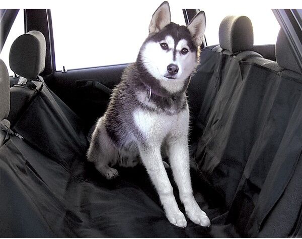 CARPOINT 0323204 Coprisedile auto per cani