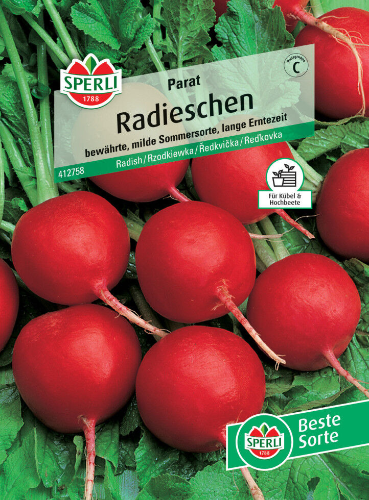Sperli Radieschen Parat