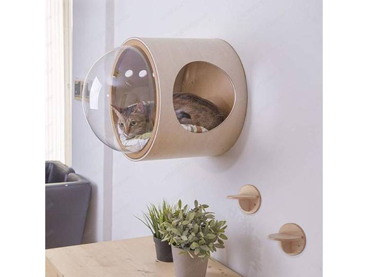 Nid de chat suspendu au mur de capsule spatiale transparente, cadre d'escalade spatial libre de chat
