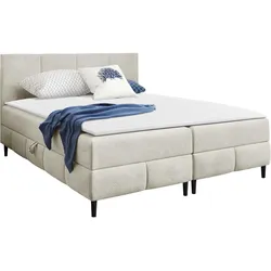 BOXBETT Box Best 2 - H3