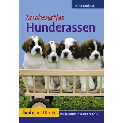 Hunderassen, Taschenbuch von Anna Laukner, Verlag Eugen Ulmer, 978-3-8001-7561-1