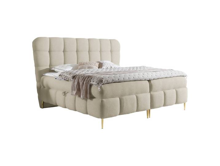 BOXBETT Lolly - H3