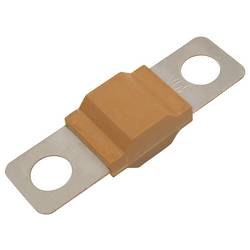 TRU COMPONENTS TC-13545872 Sicherung 30 A 80 V/DC Inhalt 10 St. Bulk
