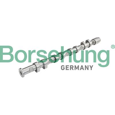 BORSEHUNG Nockenwelle b13032 für VW