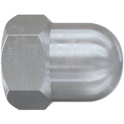 Fischer FAZ II Plus M10 569126 Hutmutter M10 Stahl galvanisch beschichtet 20 St.