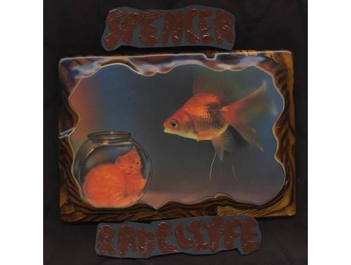 Looking in [12 inch Analog]