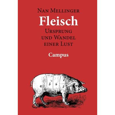 Fleisch, Taschenbuch von Nan Mellinger, Campus, 978-3-593-36641-8