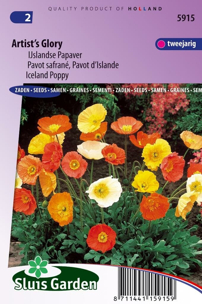 Sluis Garden Papaver Nudicaule zaden Artist's Glory IJslandse