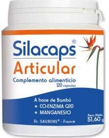 Sante Silice Silacapss +1 Articular 120 caps