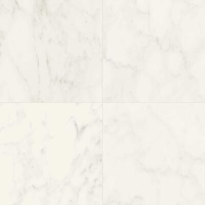 The Tile Life Windsor 12x12 Matte Porcelain Floor and Wall Tile