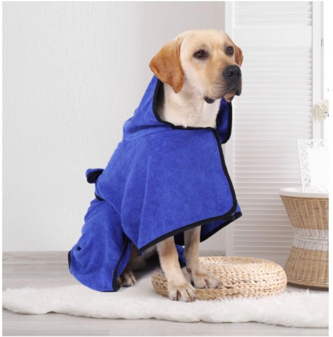 INF Mikrofaser Haustier Schnelltrocknender Bademantel mit verstellbarem Gürtel – Saugstarker Bademantel für Hunde und Katzen, L Blau