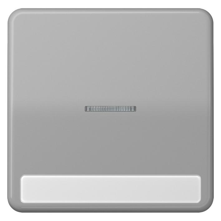 JUNG Kontrollwippe Schalter CD gr glz CD590NAKO5GR (CD590NAKO5GR)