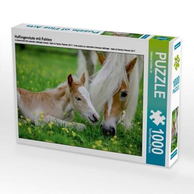 CALVENDO Puzzle Haflingerstute mit Fohlen | 1000 Teile Lege-Größe 64x48cm Foto-Puzzle für glückliche Stunden