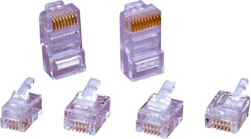 Encitech RJ126P6CR RJ45-Steckverbinder 6510-0104-04 Stecker, gerade Polzahl Sensoren 6P6C Transparent