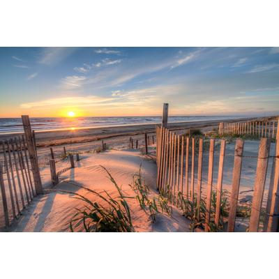 Fototapete PAPERMOON "Outer Banks Dunes", bunt, B:3,5m L:2,6m, Vlies, Tapeten