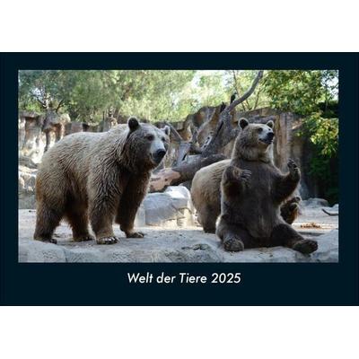 Welt der Tiere 2025 Fotokalender DIN A4
