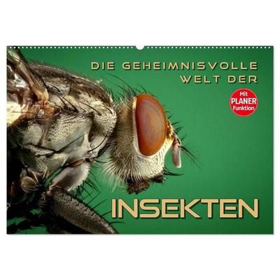 Die geheimnisvolle Welt der Insekten (Wandkalender 2026 DIN A2 quer), CALVENDO Monatskalender