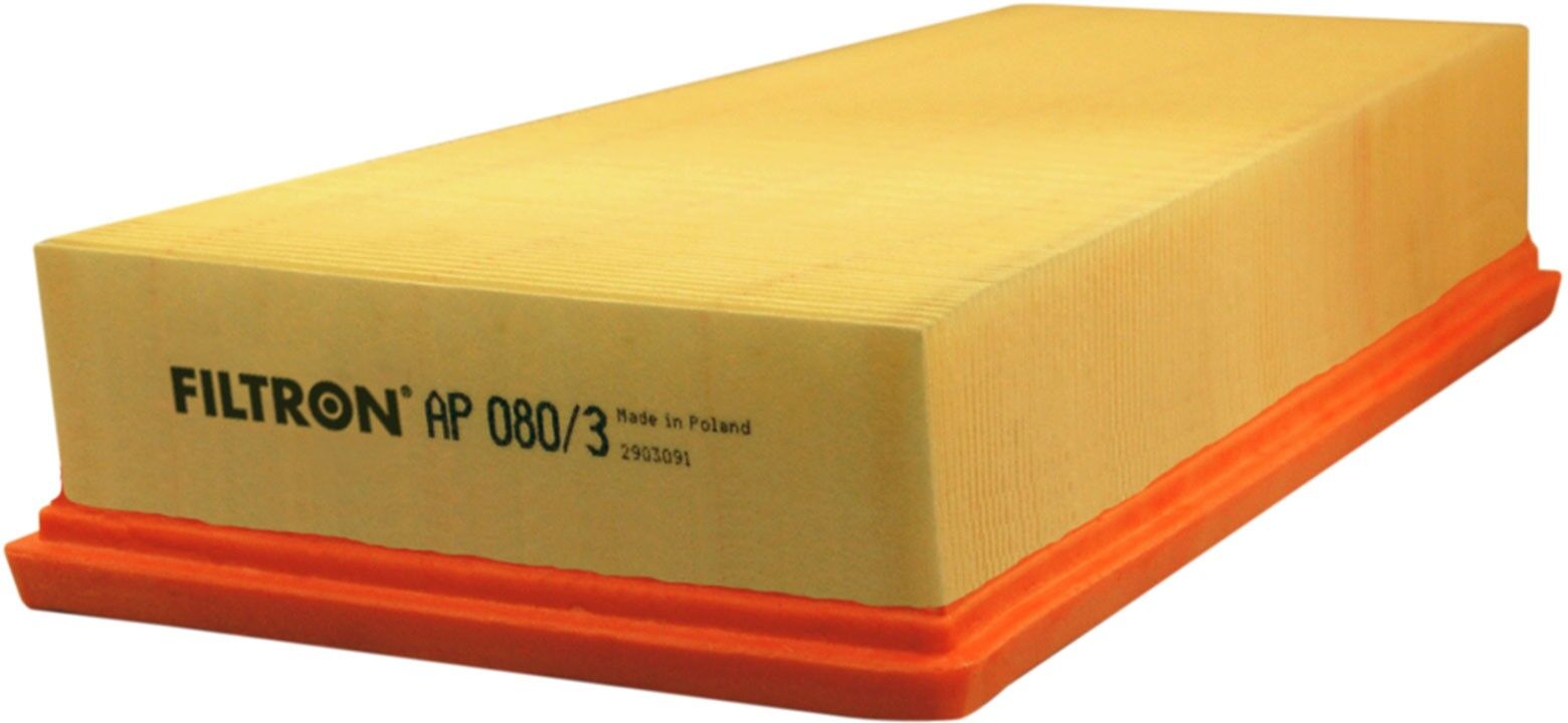 FILTRON AP 080/3 Air filter