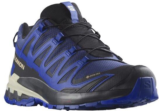 Salomon XA Pro 3D V9 GTX Mens, Blue Print / Surf The Web