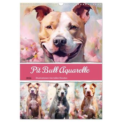 Pit Bull Aquarelle. Illustrationen von tollen Hunden (Wandkalender 2026 DIN A3 hoch), CALVENDO Monatskalender