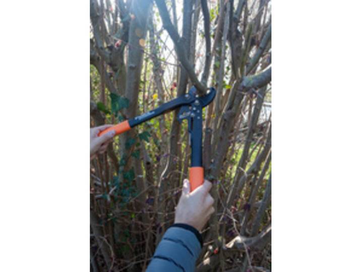 Coupe-branches pour dames Dual-Cut, 420 mm