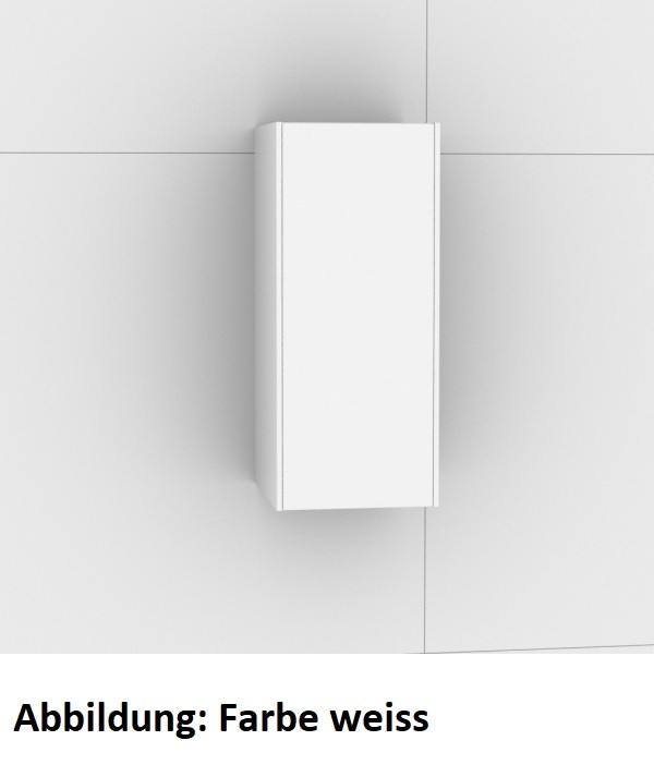 Artiqua 116 Wandschrank, Stahlgrau, 116-OST-1-30-R-7142-88 116-OST-1-30-R-7142-88