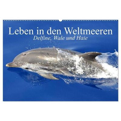 Leben in den Weltmeeren. Delfine, Wale und Haie (Wandkalender 2026 DIN A2 quer), CALVENDO Monatskalender