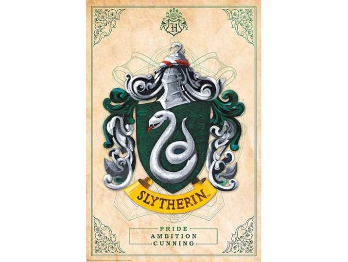 ABYSTYLE Harry Potter Poster (Slytherenard-huis)