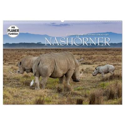 Emotionale Momente: Nashörner (Wandkalender 2027 DIN A2 quer), CALVENDO Monatskalender