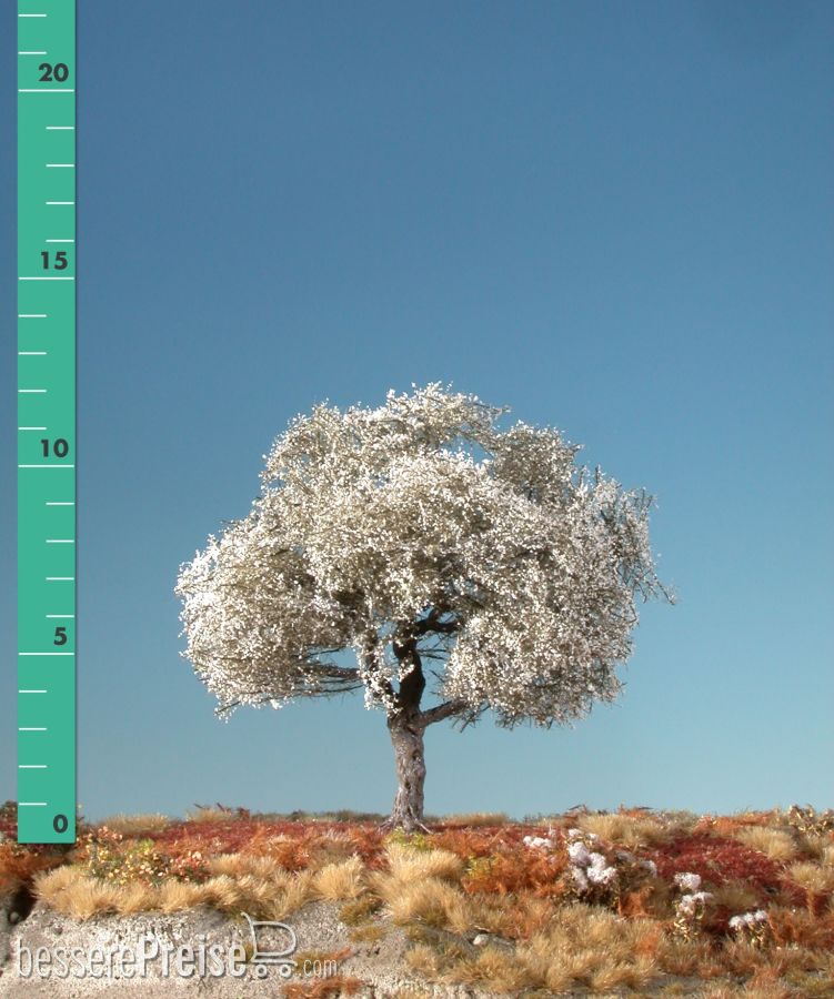 Silhouette 227-11