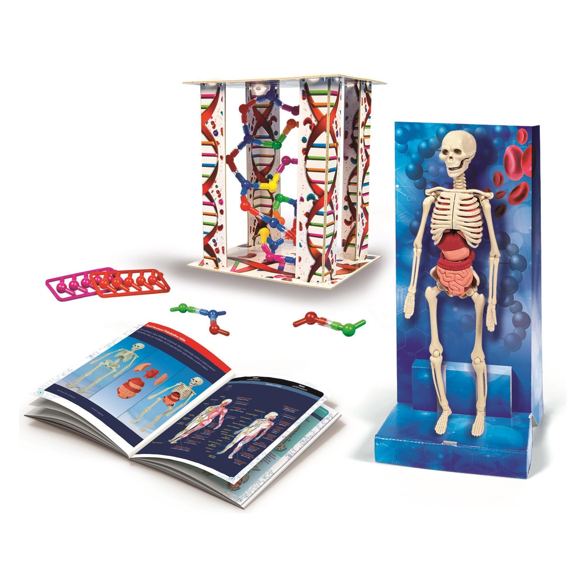 Clementoni TOY CREATIVE SET HUMAN BODY 50923 (000101144387)