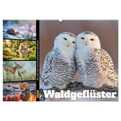Waldgeflüster (Wandkalender 2026 DIN A2 quer), CALVENDO Monatskalender