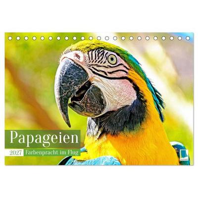 Papageien: Farbenpracht im Flug (Tischkalender 2027 DIN A5 quer), CALVENDO Monatskalender