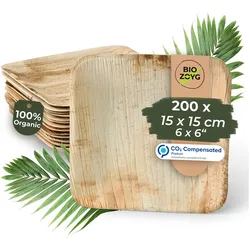 BIOZOYG 200 Stück Einwegteller 15x15cm Palmblatt-Teller, quadratisch, biologisch abbaubar, umweltfreundlich, kompostierbar, Wegwerfteller